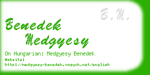 benedek medgyesy business card